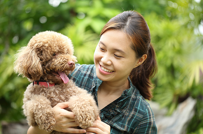 7 Sebab dan Cara Mengatasi Penyakit Kulit pada Anjing