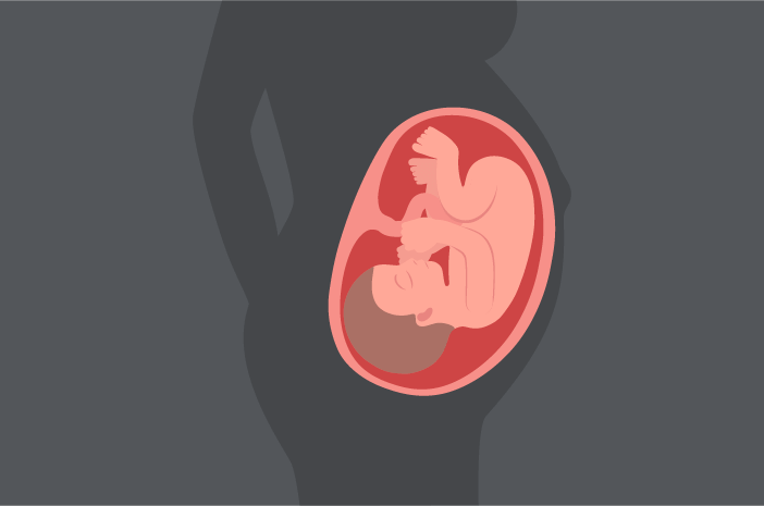 Età di sviluppo fetale 40 settimane