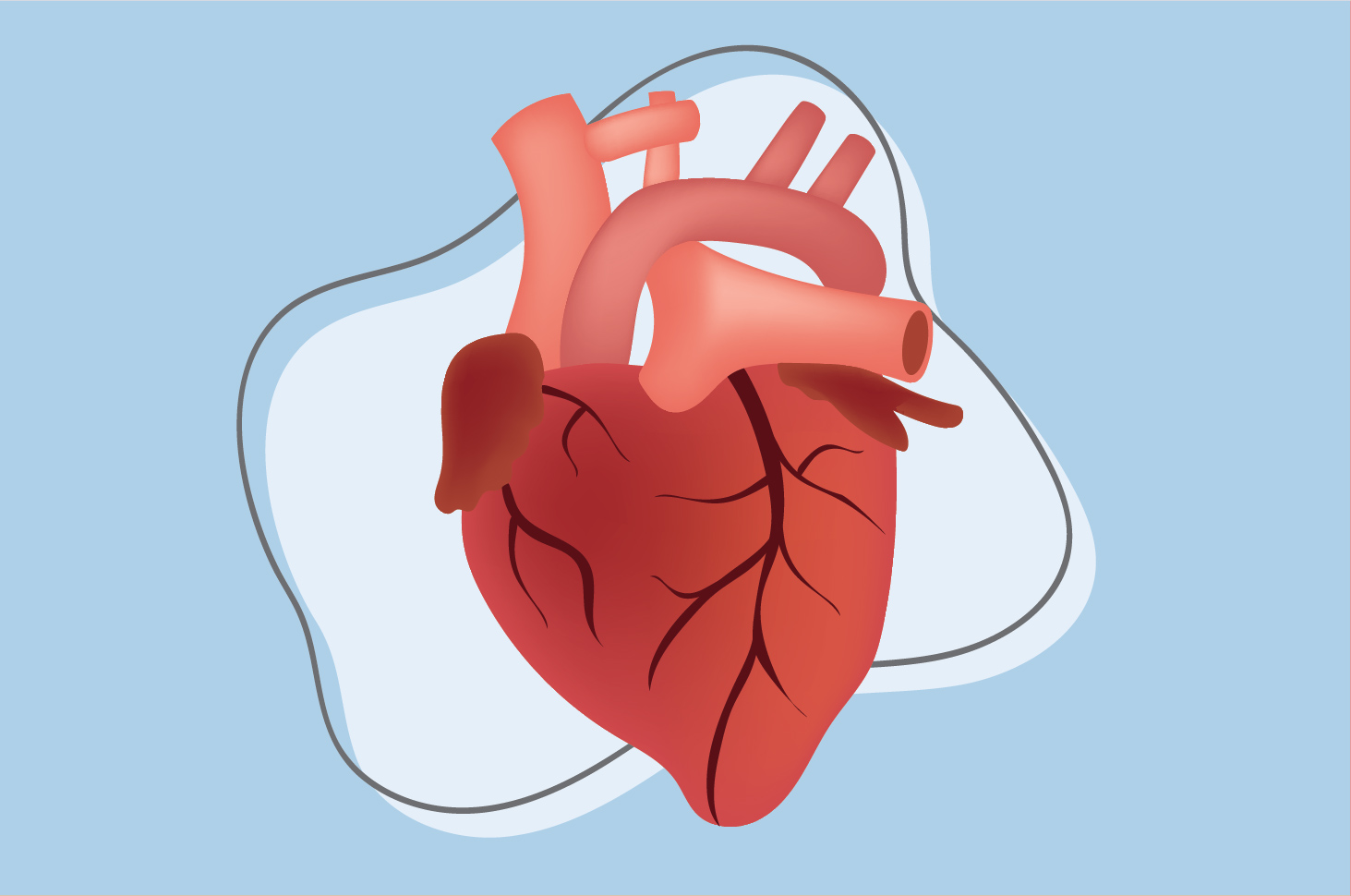 จำเป็นต้องรู้ 6 ข้อเท็จจริงเกี่ยวกับอวัยวะหัวใจมนุษย์