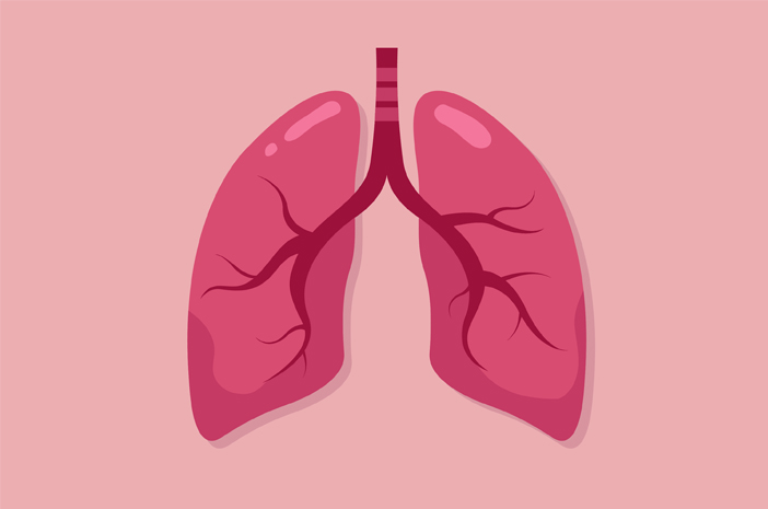 肺炎の原因と治療方法