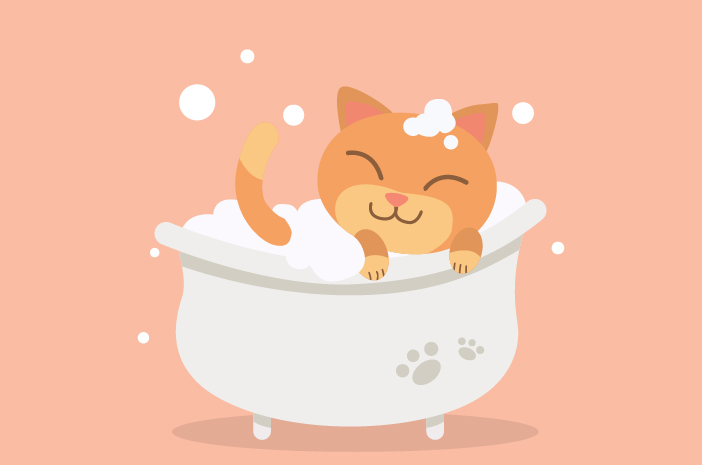 Petua Selamat Memilih Syampu untuk Kucing