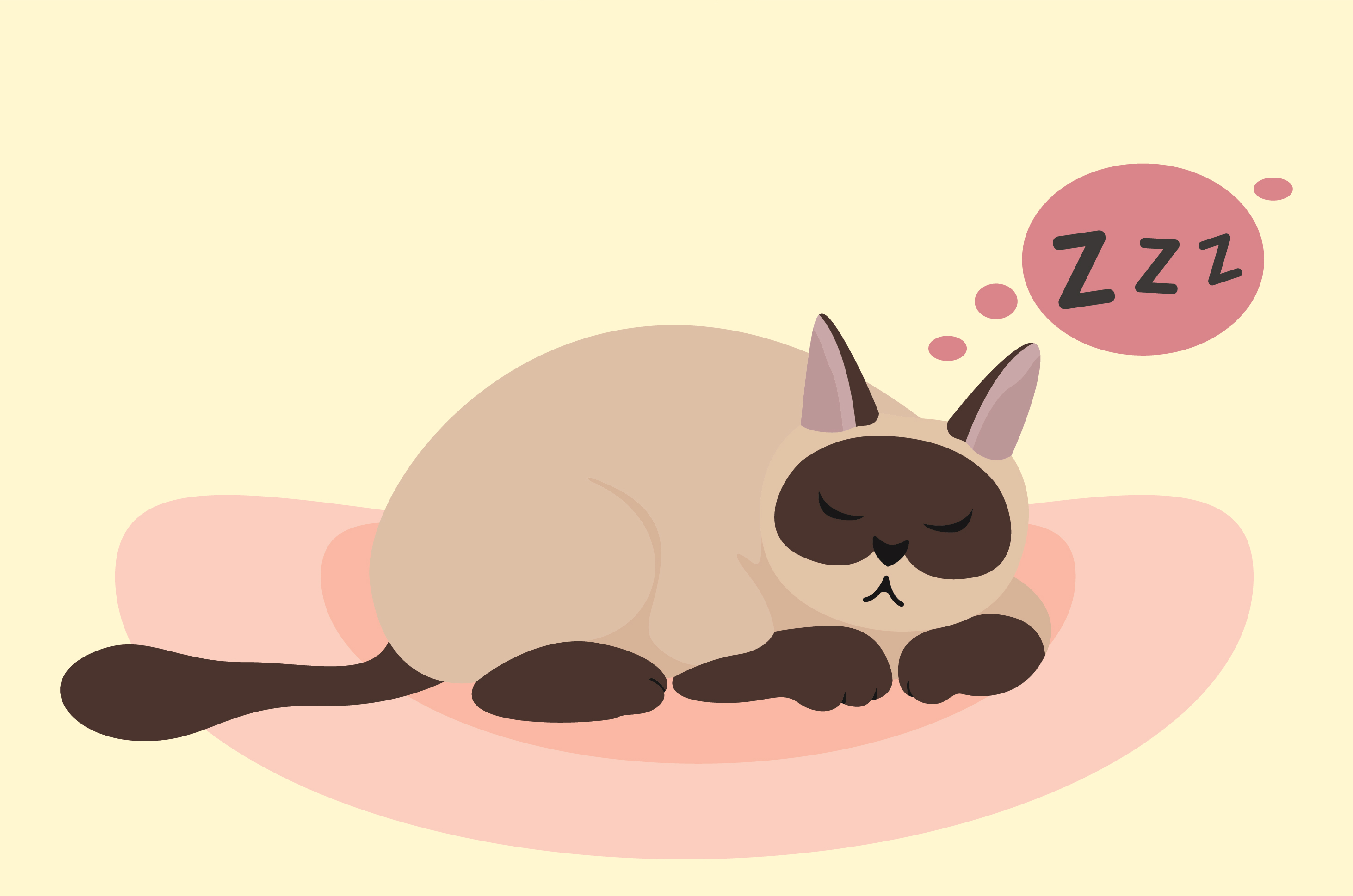 Ketahui 3 Sebab Kucing Selalunya Tidur