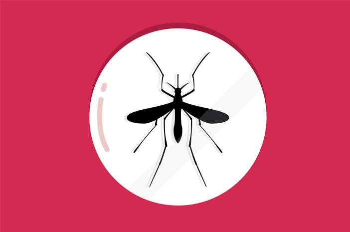 Causata dalle zanzare, questa è la differenza tra malaria e dengue