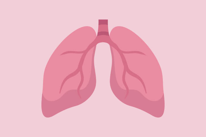 Научете повече за функцията на белите дробове за тялото