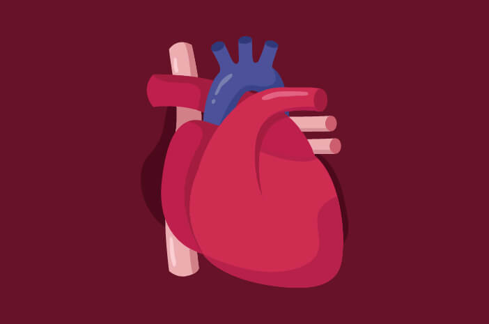 Вярно ли е, че коронарната болест на сърцето е нелечима?