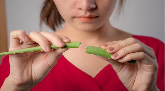 4 Khasiat Makan Aloe Vera untuk Kesihatan Tubuh