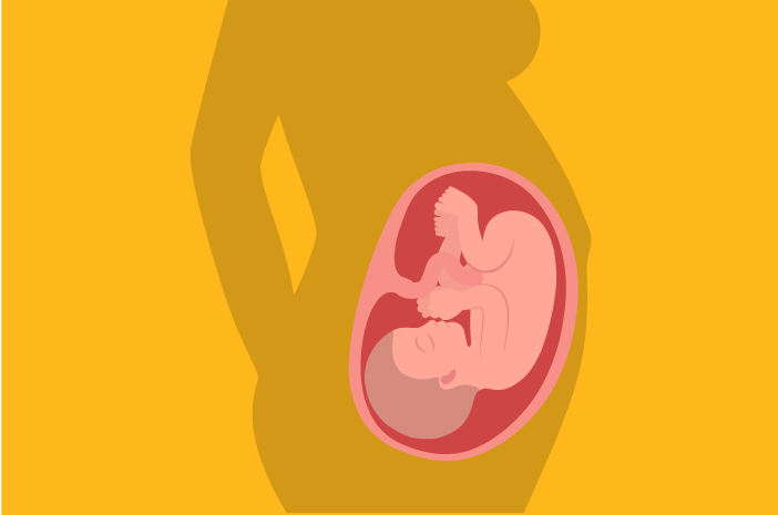 Fetal Gelişim Yaşı 35 Hafta