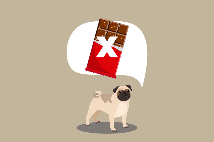 لماذا يحظر على الكلاب أكل الشوكولاتة؟