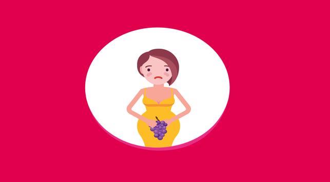 Познайте 4 -те характеристики на бременното грозде