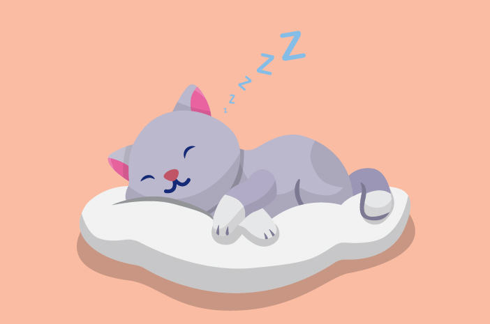 Tidur Dengkur Kucing, Waspadalah terhadap Gangguan Pernafasan