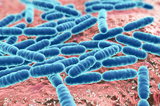 Малки, но опасни, ето 5 болести, причинени от бактерии