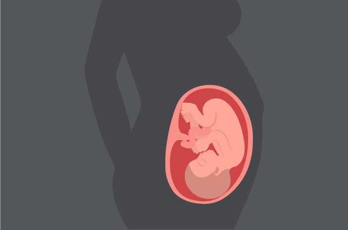 อายุพัฒนาการของทารกในครรภ์ 33 สัปดาห์
