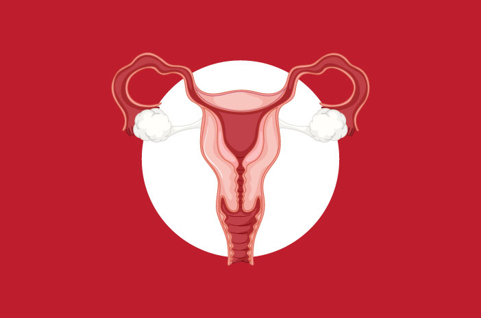 ความแตกต่างระหว่างถุงน้ำรังไข่กับ Endometriosis คืออะไร?