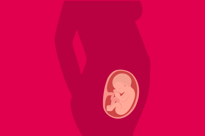 22 Hafta Fetal Gelişim