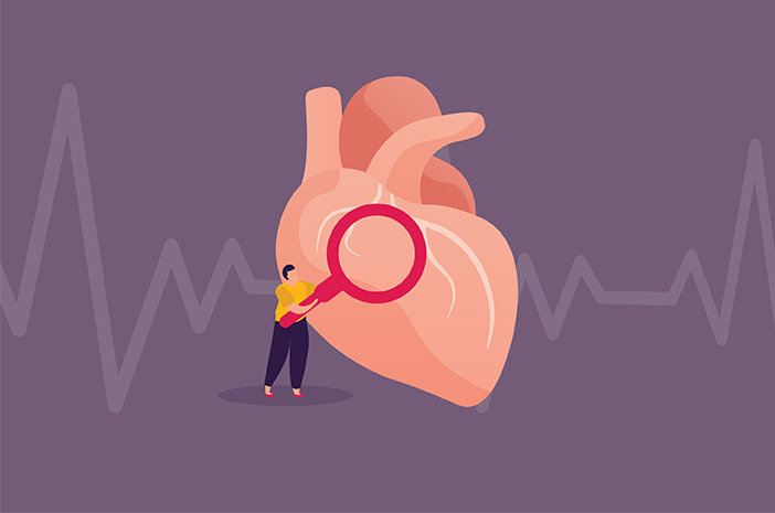 Знайте анатомията на сърцето и неговите функции в тялото