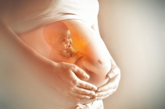 Bu 27 haftada fetüsün gelişimidir.