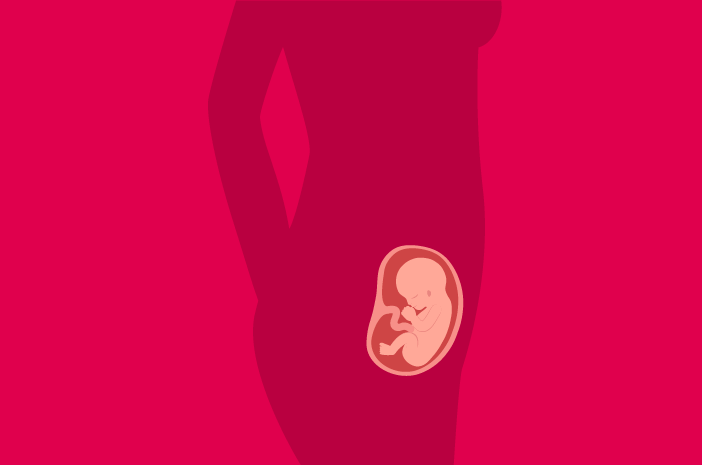 อายุพัฒนาการของทารกในครรภ์ 15 สัปดาห์