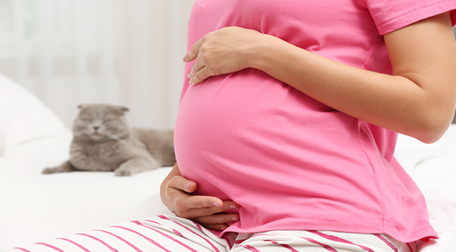 6 причини за болки в стомаха при бременни млади